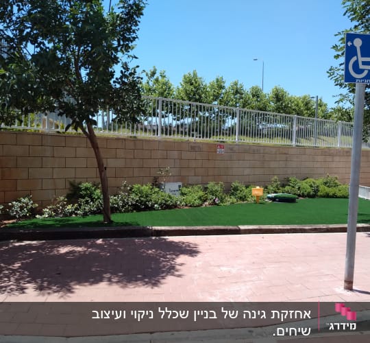 עץ, שיחים ודשא מלאכותי בגינה קטנה